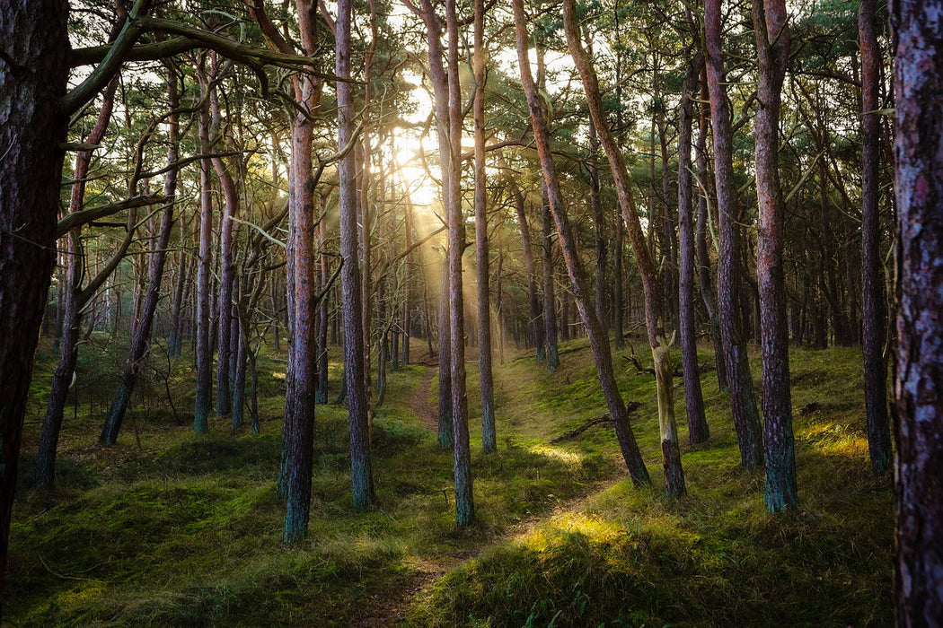 Fichier email des Landes