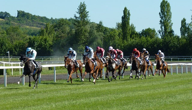 Fichier email des hippodromes et des champs de courses