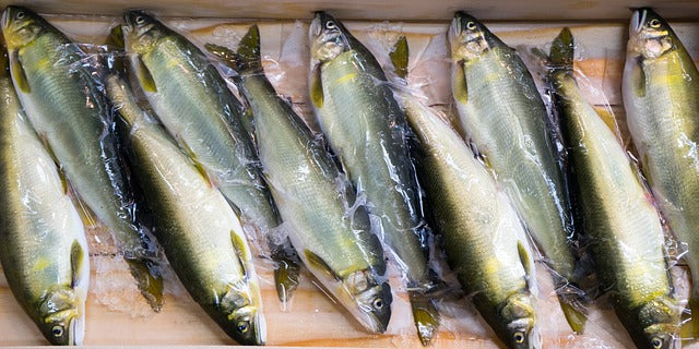 Fichier email des poissonneries