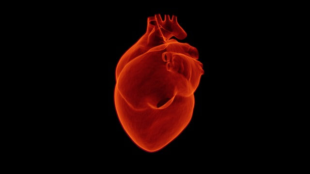 Fichier email des cardiologues