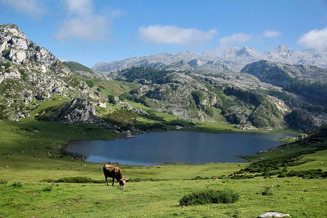 Fichier email des Hautes-Pyrénées