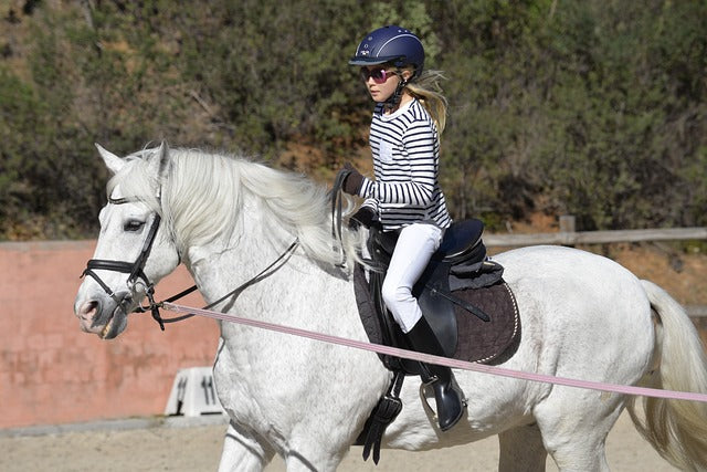 Fichier email des équipements d'équitation selles
