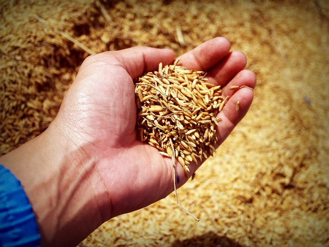 Fichier email des experts agricoles fonciers