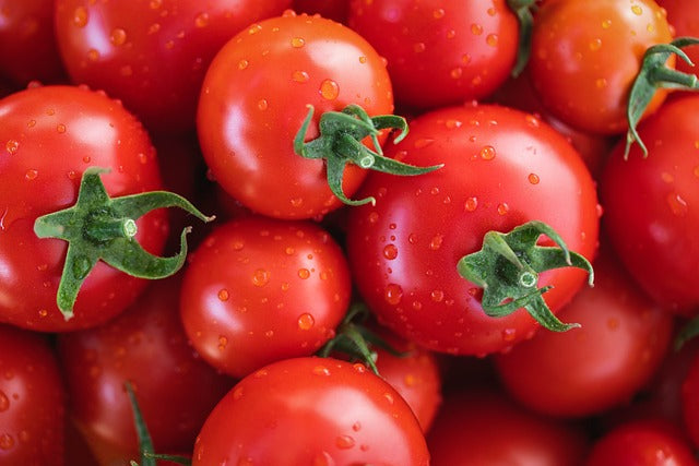 Fichier email des grossistes en alimentation générale