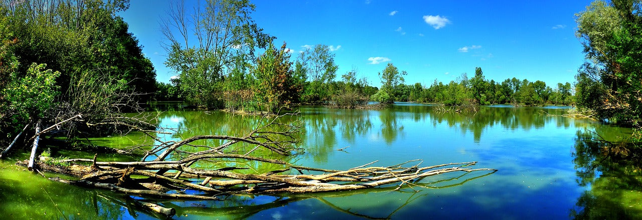 Fichier email du Maine-et-Loire
